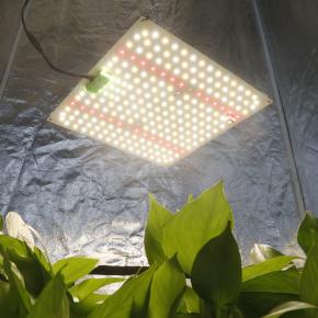 320W 720W 1000W 1200W Grow Light - $140-$400